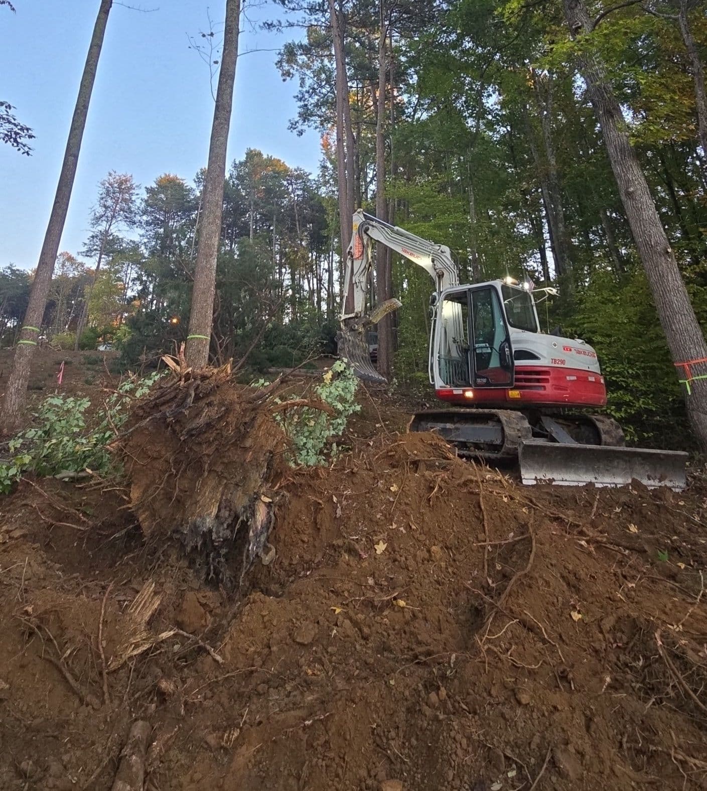 Land Clearing image