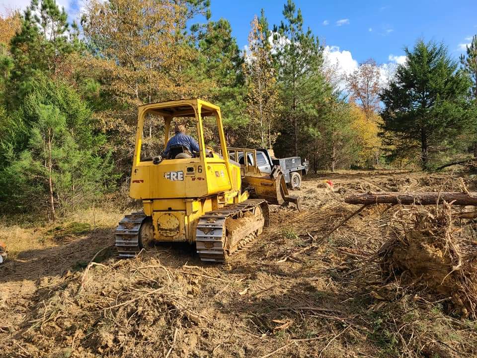Yellow bulldozer clearing a wooded area with trees and brush in the background.