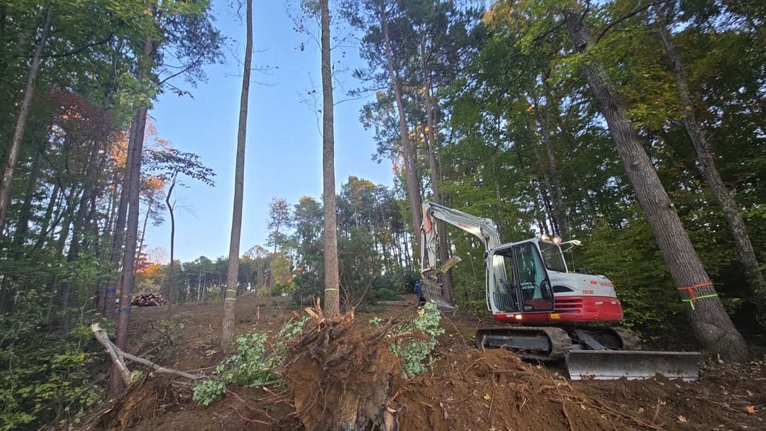 Excavator working on a forest clearing project amidst trees and soil erosion.