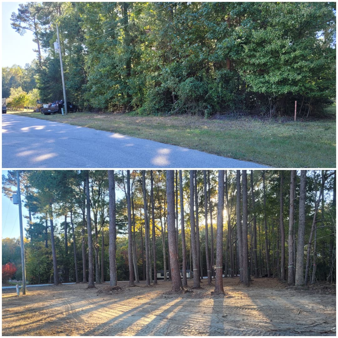 Before and after transformation of a wooded area, showcasing trees and cleared land.