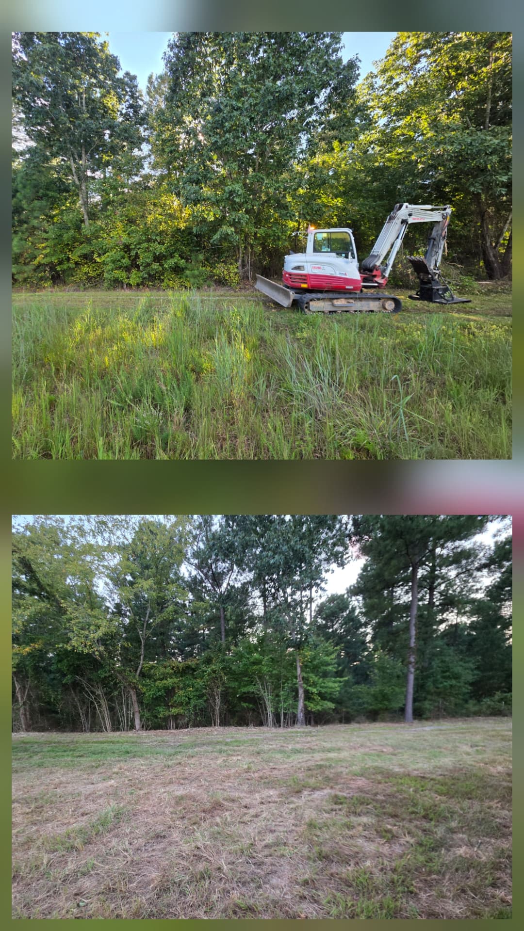 Mini excavator in a green landscape clearing brush and grass near trees.
