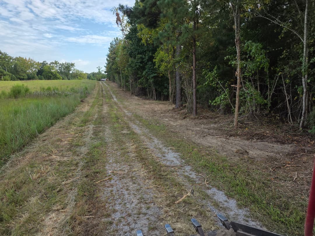 Sparse tree line along a dirt path, surrounded by green grass and open fields under a cloudy sky.