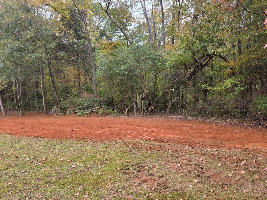 Cleared dirt path leading to a wooded area with autumn foliage.