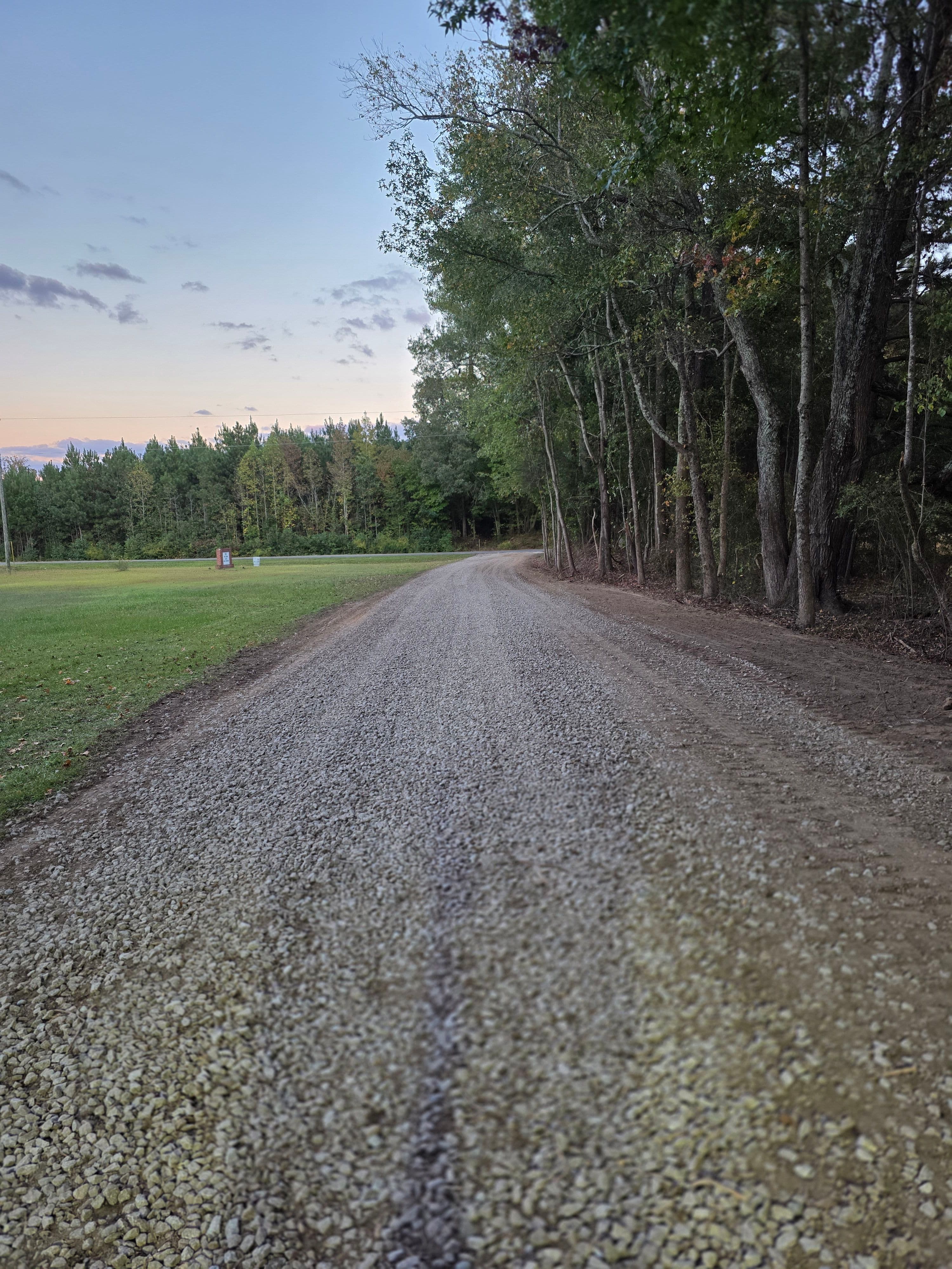 Gravel road winding through trees and open field at sunset.