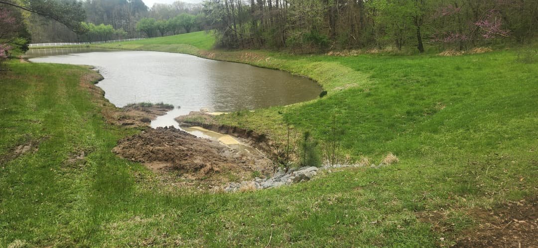 Pond surrounded by greenery with eroded bank and stones, showcasing natural landscape.