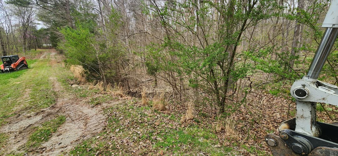 Excavator near a wooded area with green foliage and a dirt path.