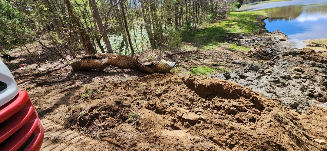 Dirt excavation near a pond with exposed roots and a fallen tree by the shoreline.