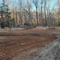 Cleared forest area with bare soil and trees in the background, early morning light.
