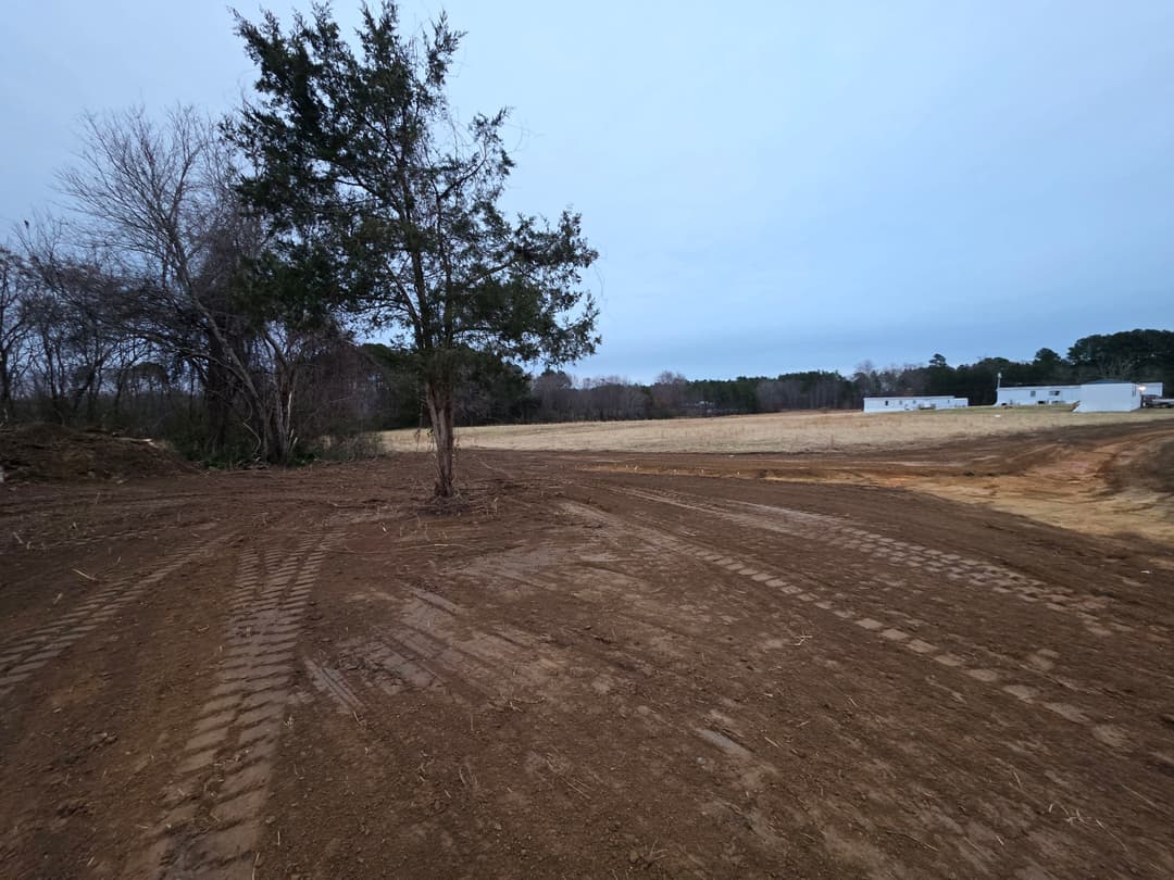 Cleared land with tire tracks, a single tree, and distant buildings under a cloudy sky.