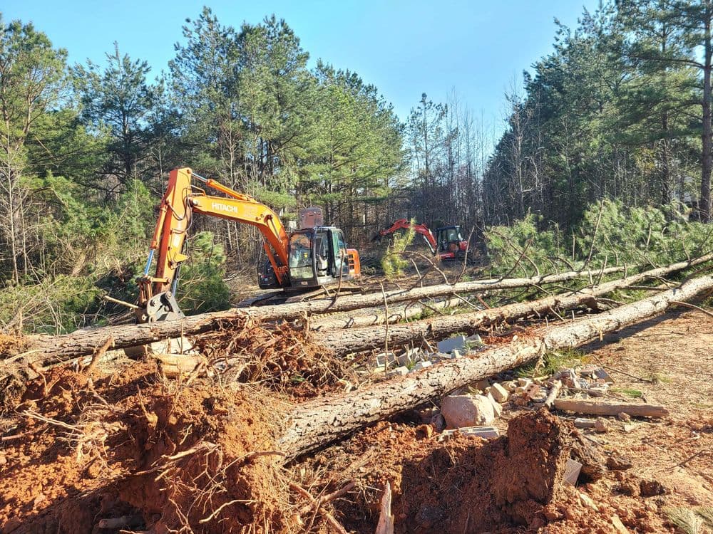 Excavators clearing fallen trees in a wooded area, surrounded by greenery.